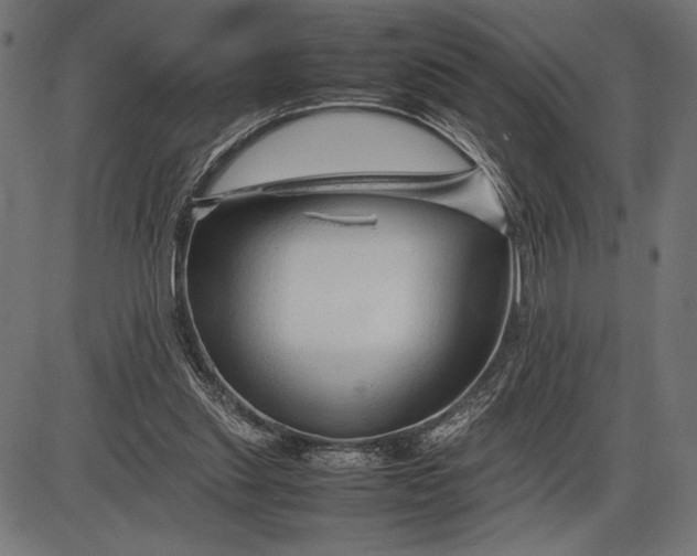 X0000086080253200704091308