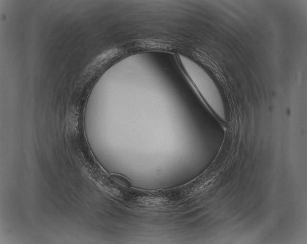 X0000086080255200704091308