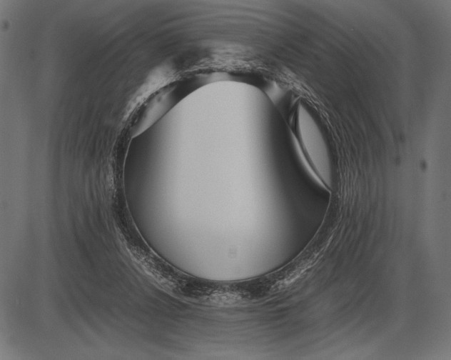 X0000086080256200704091308