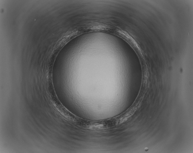 X0000086080257200704091308