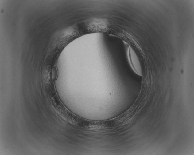 X0000086080259200704091308