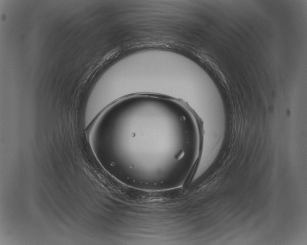 X0000086080260200704091308