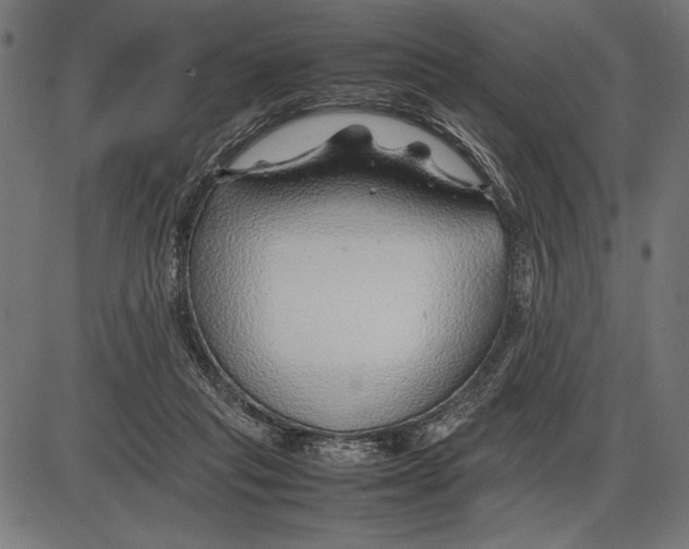 X0000086080261200704091308