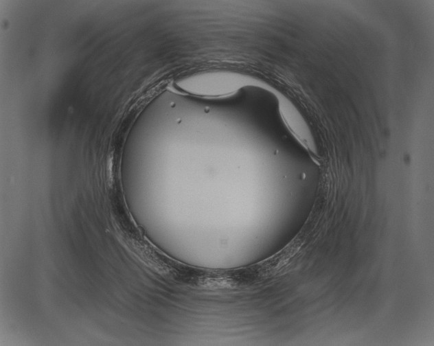 X0000086080262200704091308