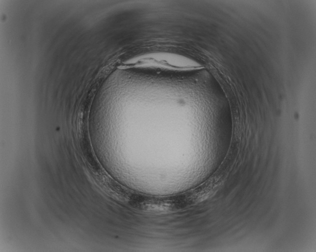 X0000086080263200704091308