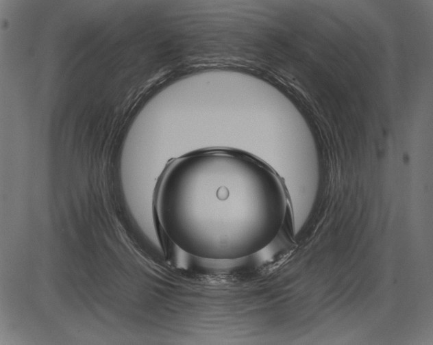 X0000086080264200704091308