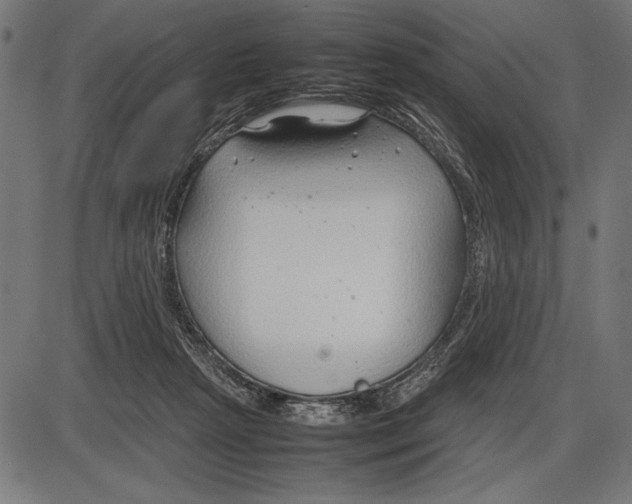 X0000086080265200704091308