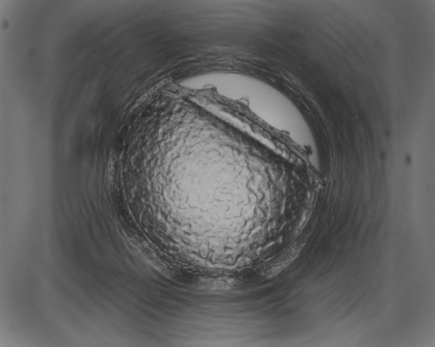 X0000086080266200704091308