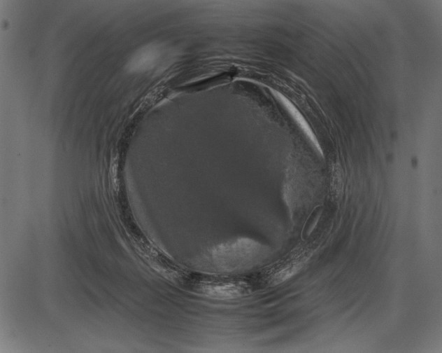 X0000086080267200704091308