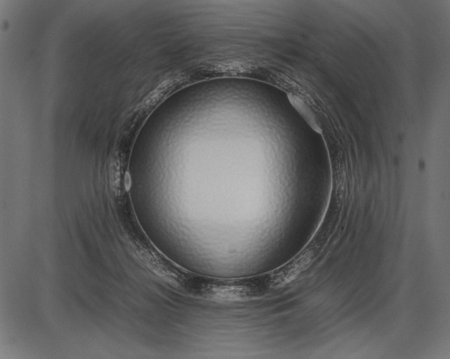 X0000086080268200704091308