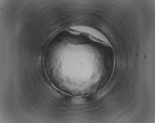 X0000086080269200704091309