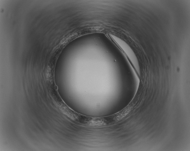 X0000086080270200704091309