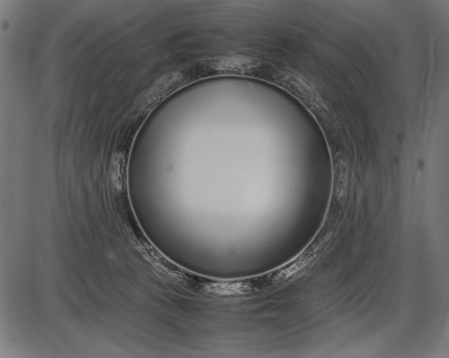 X0000086080273200704091309