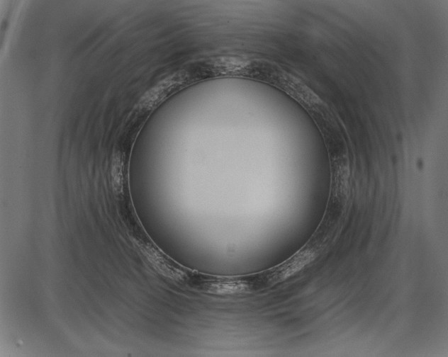 X0000086080274200704091309