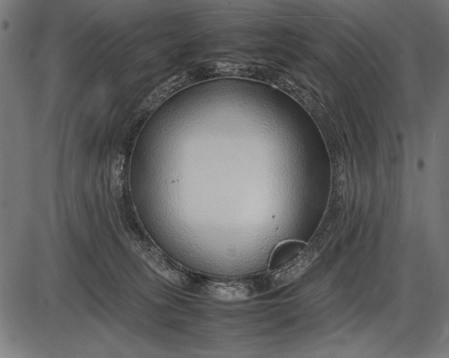 X0000086080275200704091309