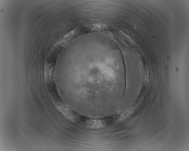 X0000086080276200704091309