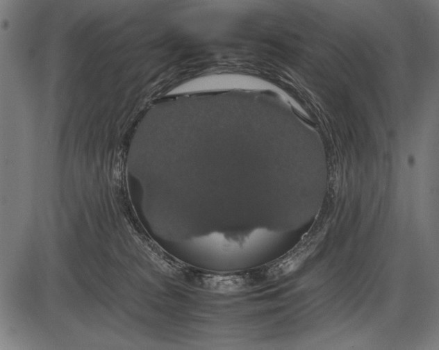 X0000086080277200704091309