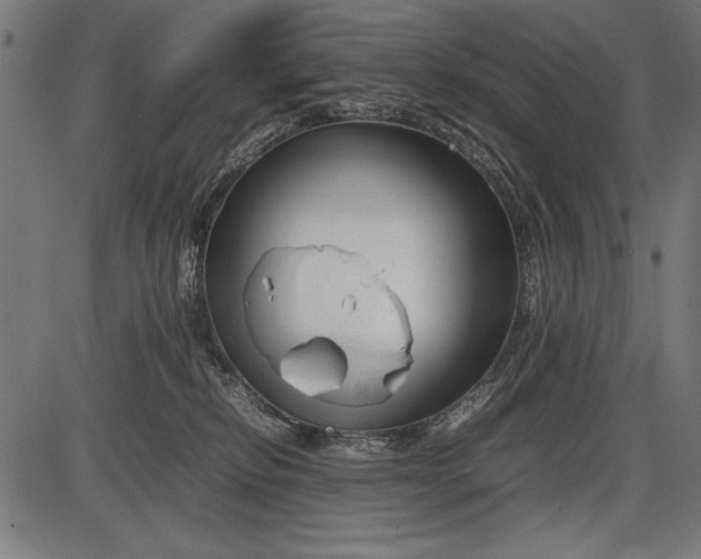 X0000086080278200704091309