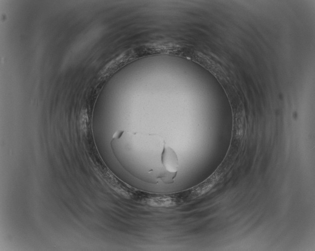 X0000086080279200704091309