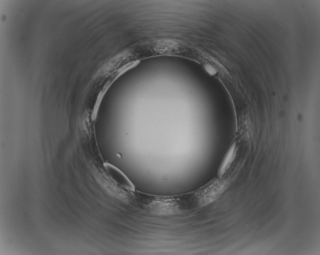 X0000086080280200704091309