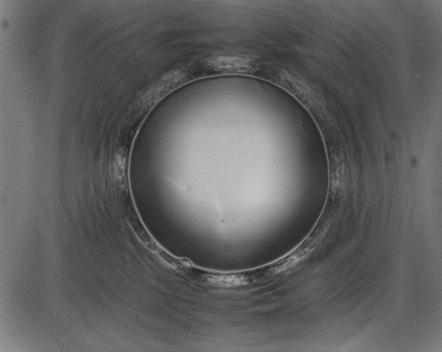 X0000086080281200704091309