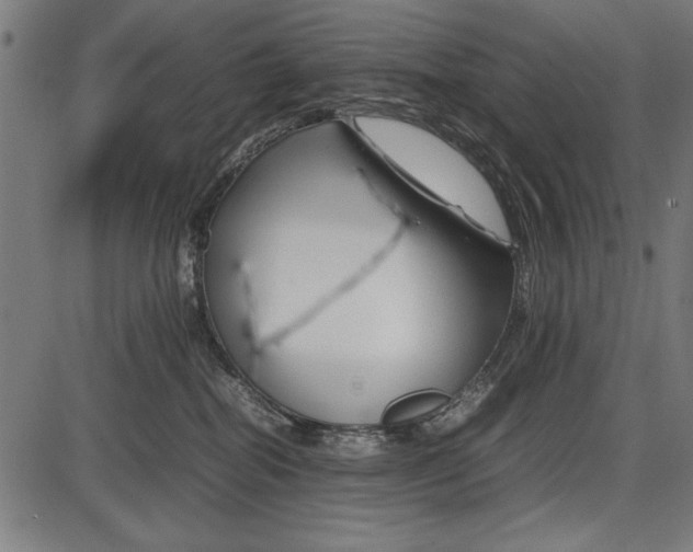 X0000086080282200704091309