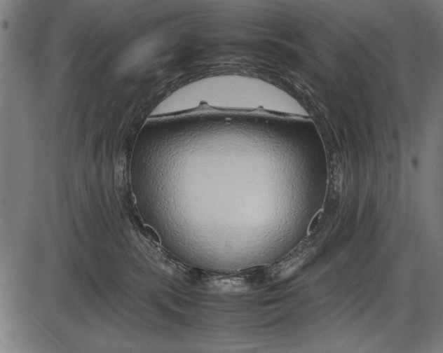 X0000086080283200704091309