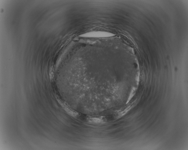 X0000086080285200704091309