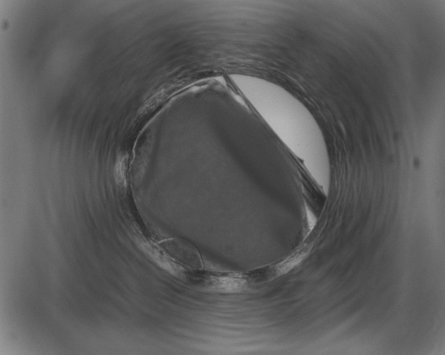 X0000086080286200704091309