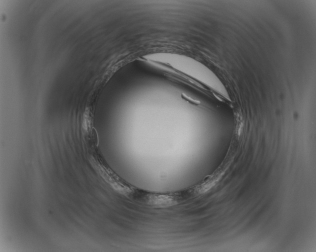 X0000086080287200704091309