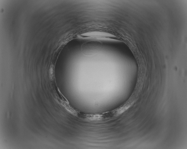 X0000086080288200704091309