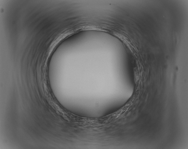 X0000086080289200704091308