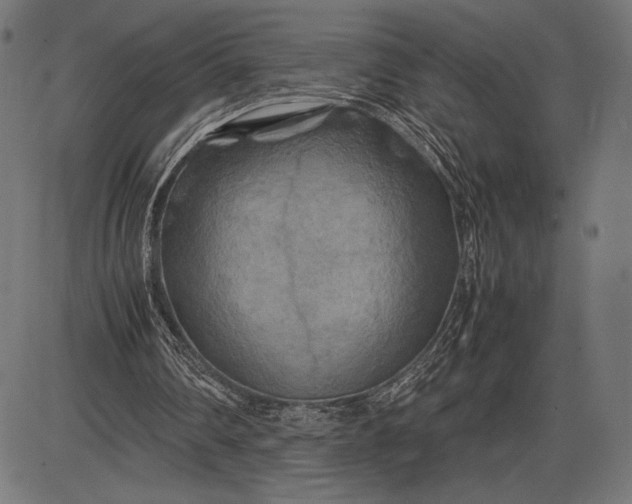 X0000086080290200704091308