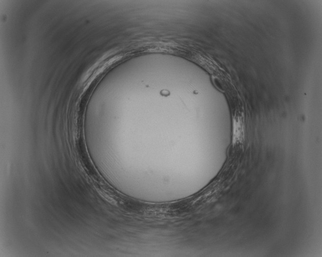 X0000086080291200704091308