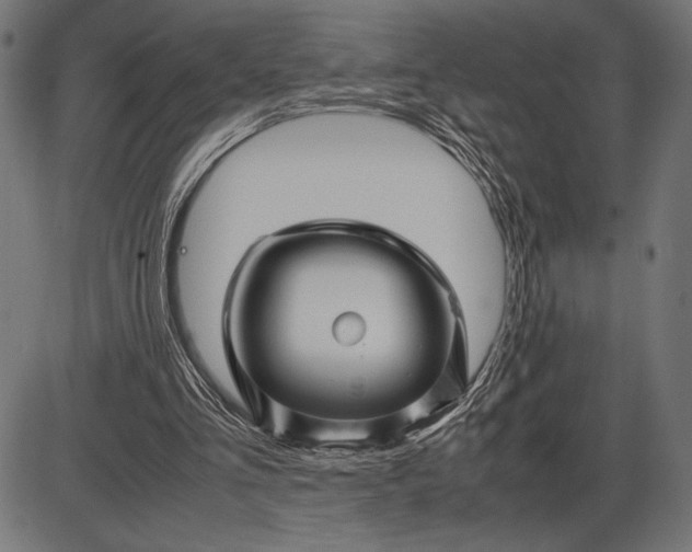 X0000086080293200704091308