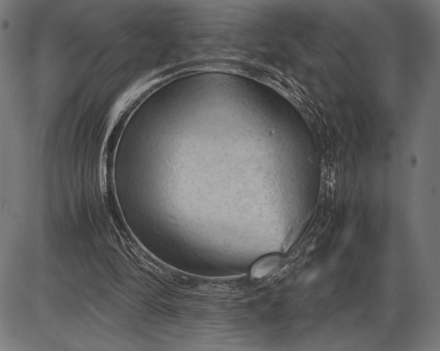 X0000086080294200704091308