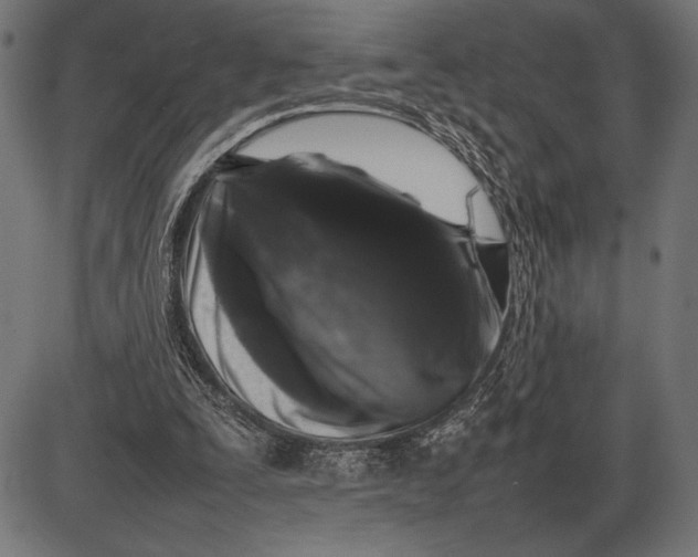 X0000086080295200704091308