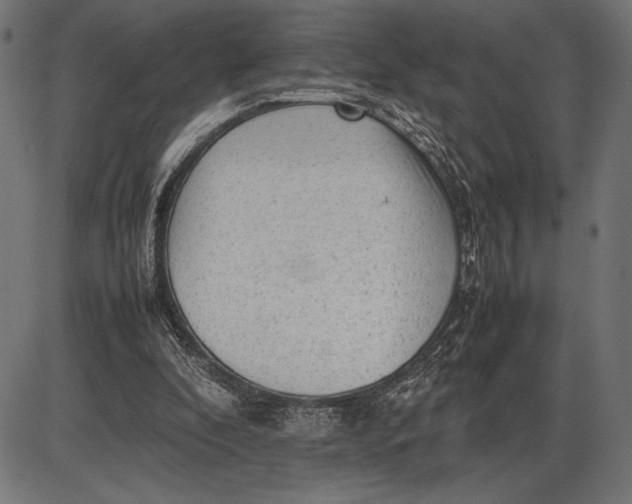 X0000086080296200704091308