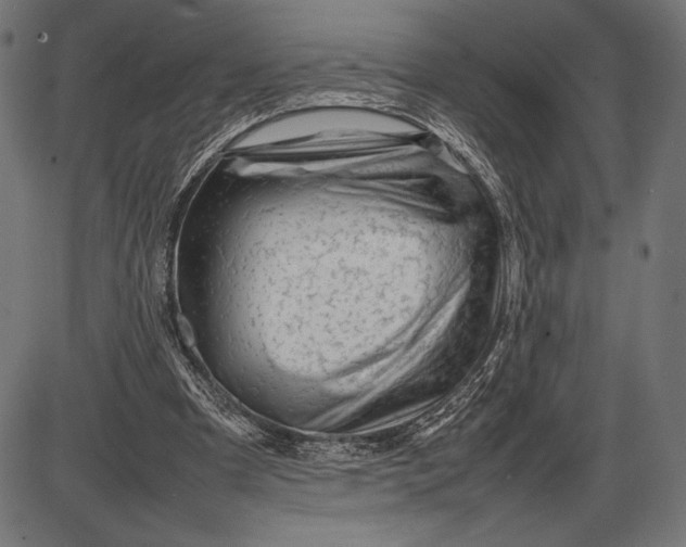 X0000086080297200704091308