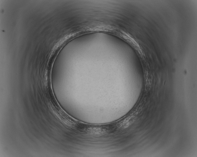 X0000086080298200704091308