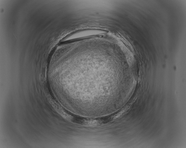 X0000086080301200704091308