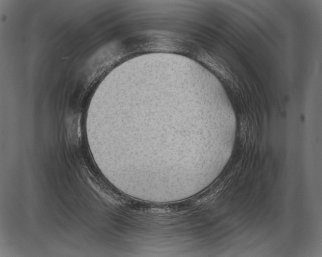 X0000086080302200704091308