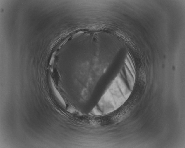 X0000086080303200704091308