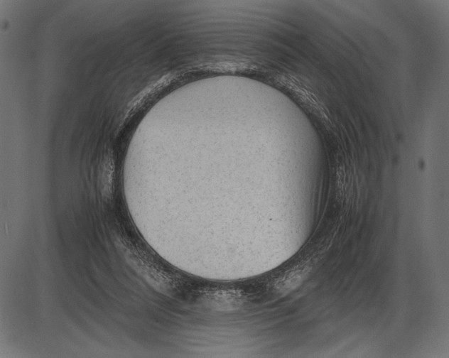 X0000086080304200704091308