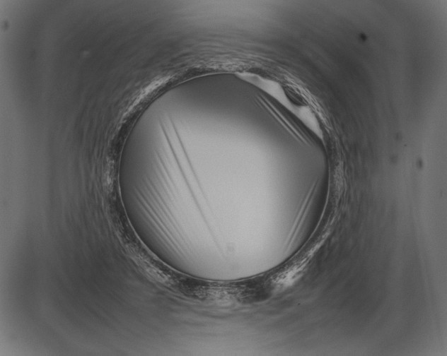 X0000086080305200704091308