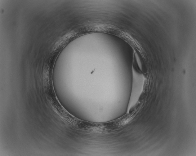 X0000086080306200704091308