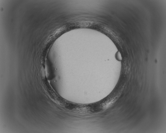 X0000086080307200704091308