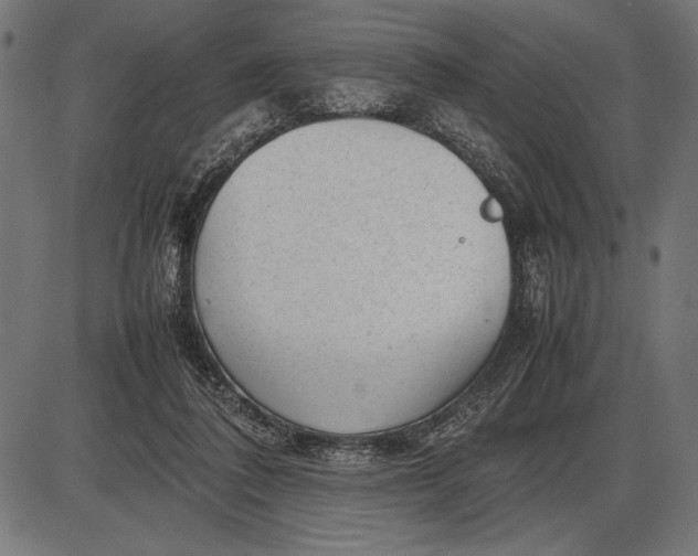 X0000086080308200704091308