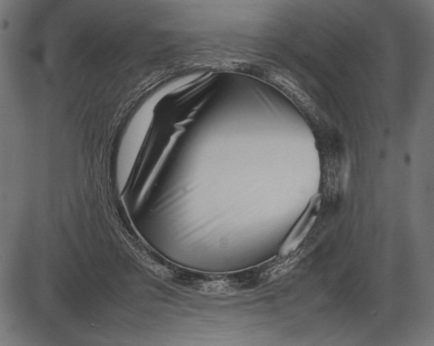 X0000086080309200704091308