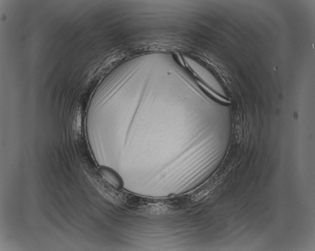 X0000086080310200704091308